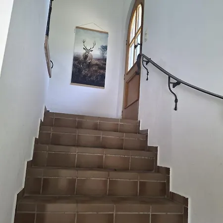 Casa de Férias Bio Berghof Langerlehen